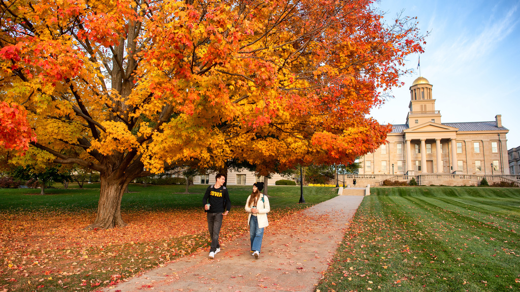 Two students walking by an autumn tree