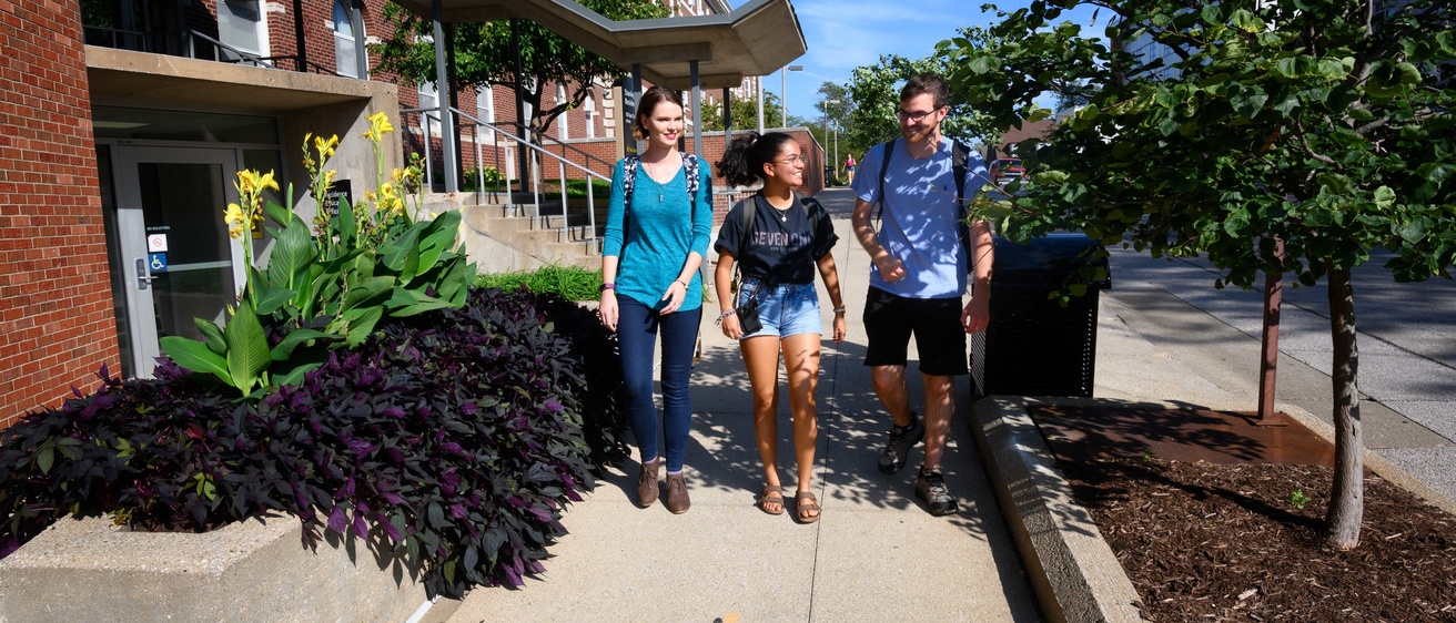 Students walking on a sidewalk and talking